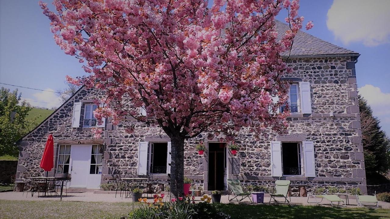 Maison D'Hotes La Nichee Rochefort-Montagne Kültér fotó